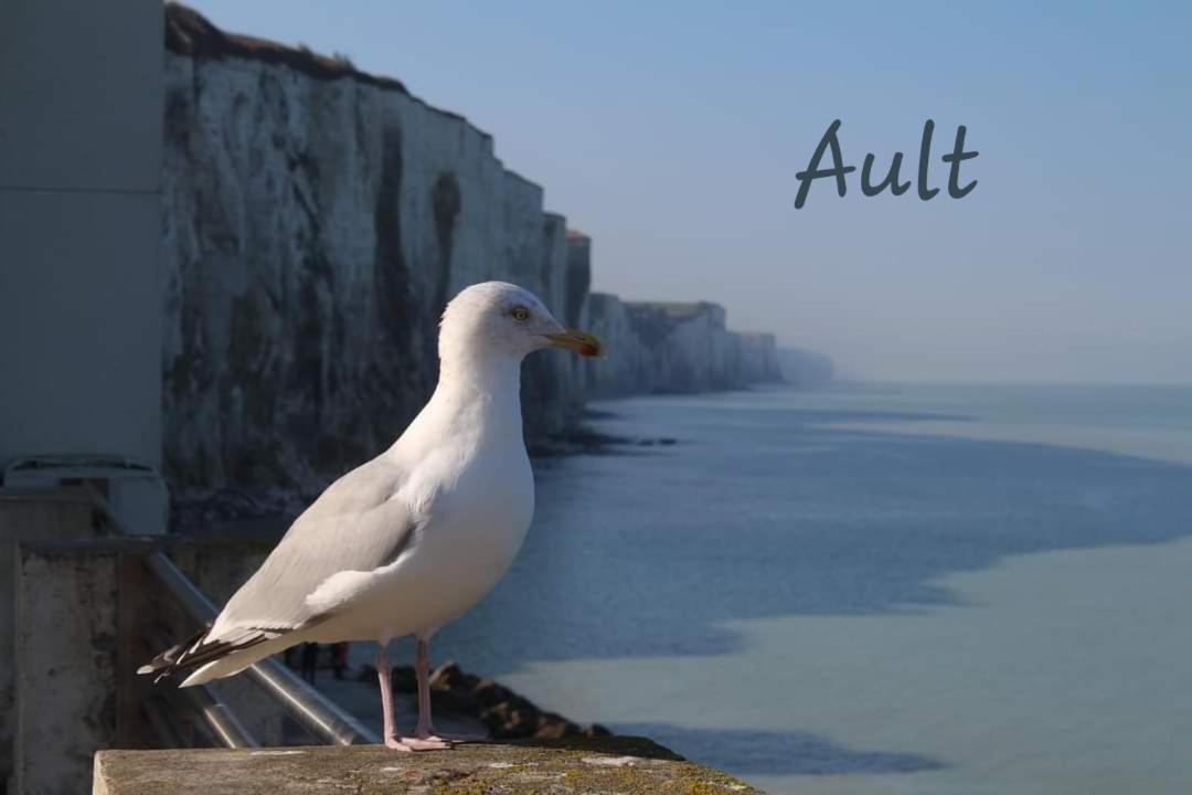 Gite Le Minile Béthencourt-sur-Mer Buitenkant foto